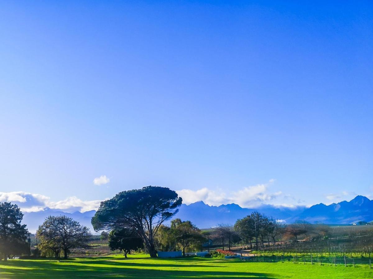 401 Rozendal Cottages Stellenbosch Extérieur photo