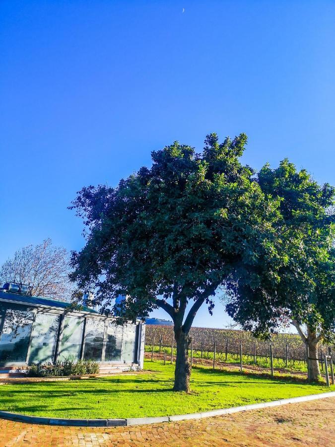 401 Rozendal Cottages Stellenbosch Extérieur photo